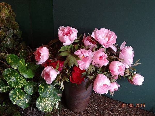 DSC04376.jpg