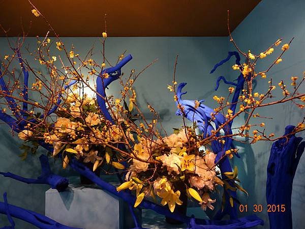 DSC04390.jpg