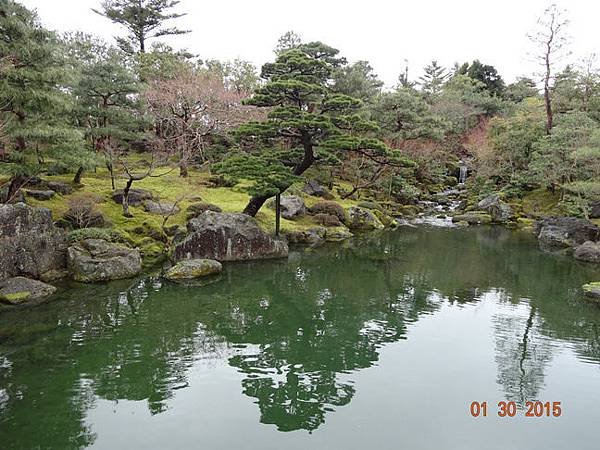 DSC04395.jpg