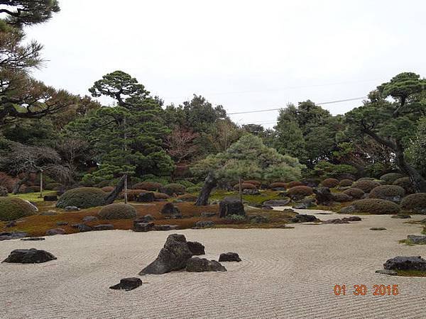 DSC04404.jpg
