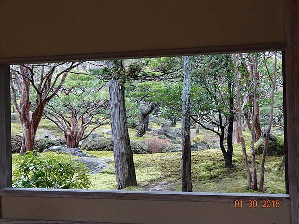 DSC04408.jpg