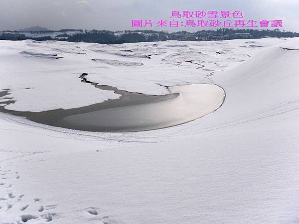 鳥取砂丘雪景色.jpg