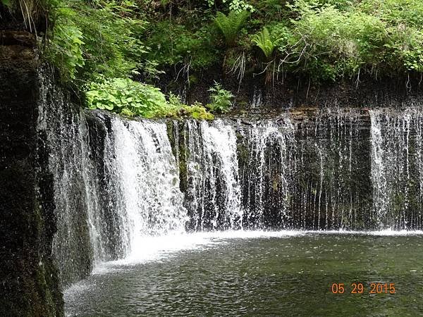 DSC05860.jpg