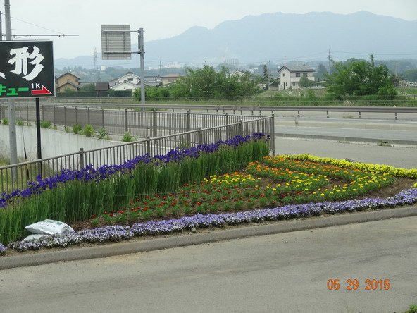 DSC05883.jpg
