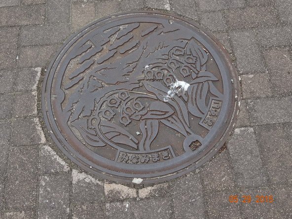 DSC05884.jpg