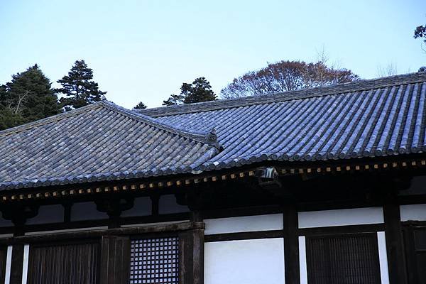 東351.jpg