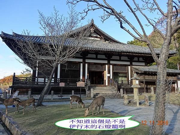 東550.jpg