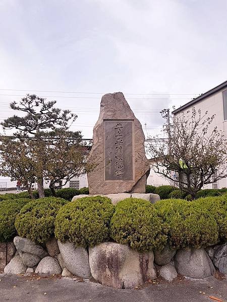 梅2.jpg