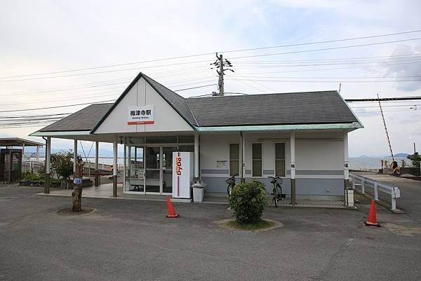 梅6.jpg