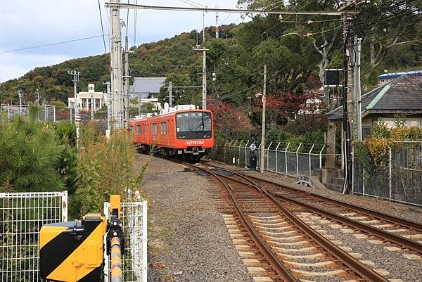 梅20.jpg