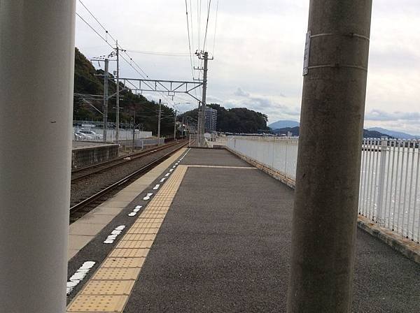 梅50.jpg