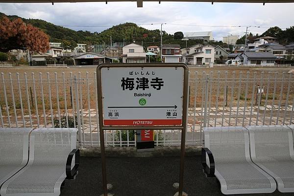 梅65.jpg