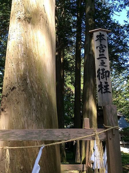 茅182.jpg