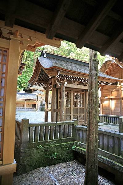 茅254.jpg