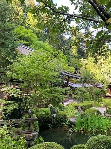 大原三千院 寂光寺 天天有拉麵_200511_0026.jpg