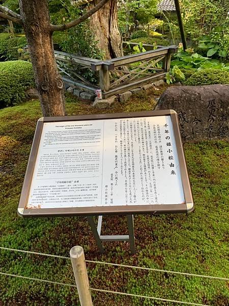 大原三千院 寂光寺 天天有拉麵_200511_0032.jpg