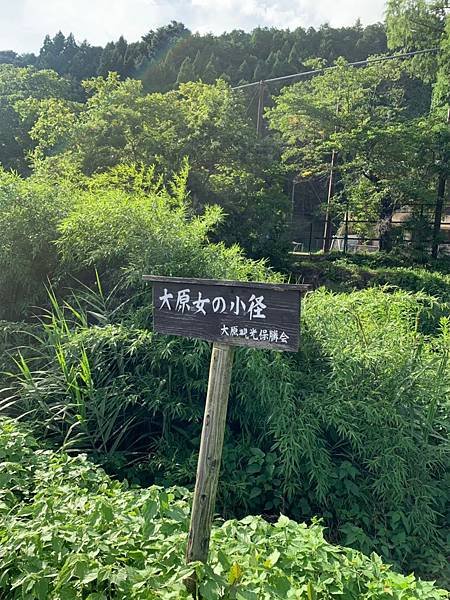 大原三千院 寂光寺 天天有拉麵_200511_0049.jpg