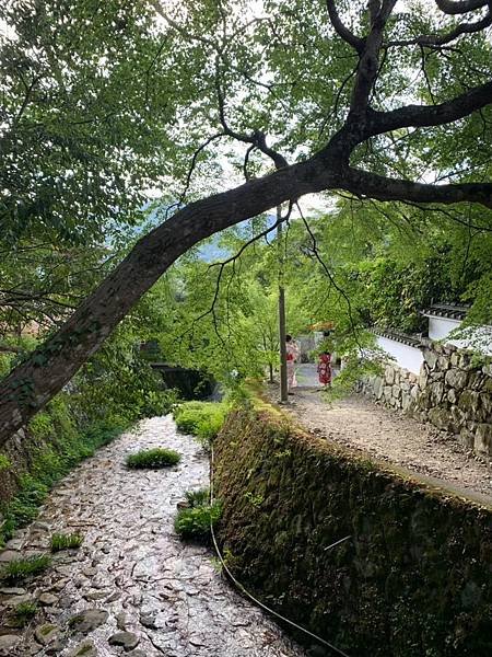 大原三千院 寂光寺 天天有拉麵_200511_0058.jpg