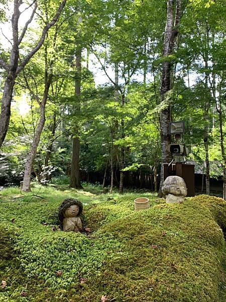 大原三千院 寂光寺 天天有拉麵_200511_0067.jpg