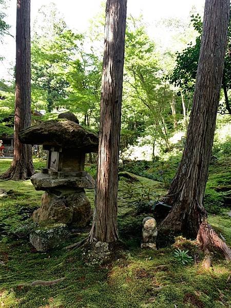 大原三千院 寂光寺 天天有拉麵_200511_0073.jpg