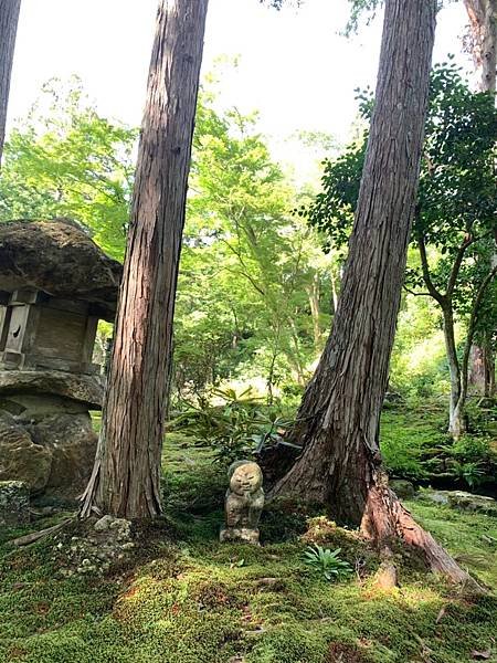 大原三千院 寂光寺 天天有拉麵_200511_0074.jpg