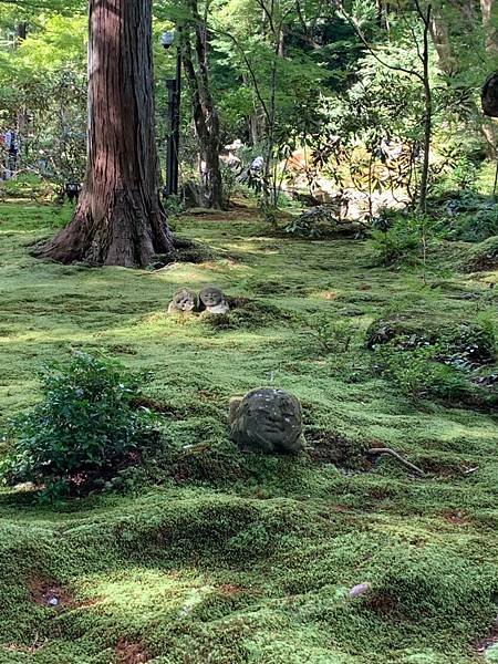 大原三千院 寂光寺 天天有拉麵_200511_0075.jpg