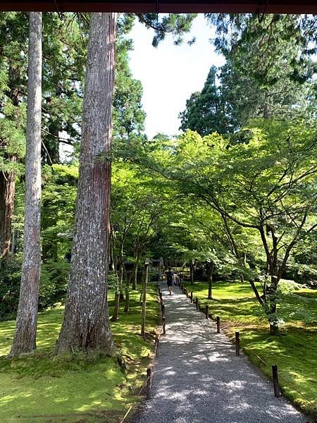 大原三千院 寂光寺 天天有拉麵_200511_0083.jpg