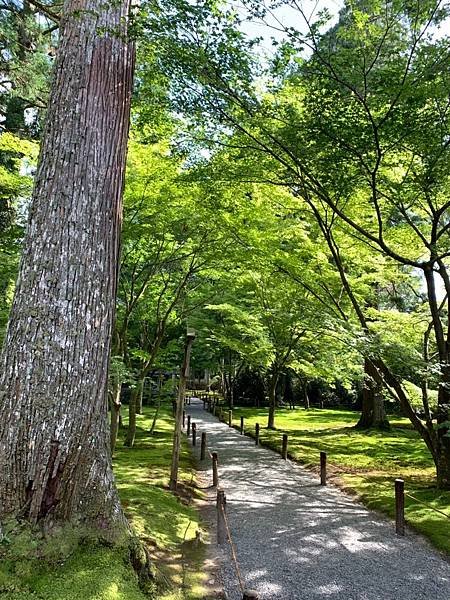 大原三千院 寂光寺 天天有拉麵_200511_0082.jpg