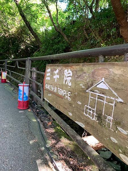 大原三千院 寂光寺 天天有拉麵_200511_0100.jpg