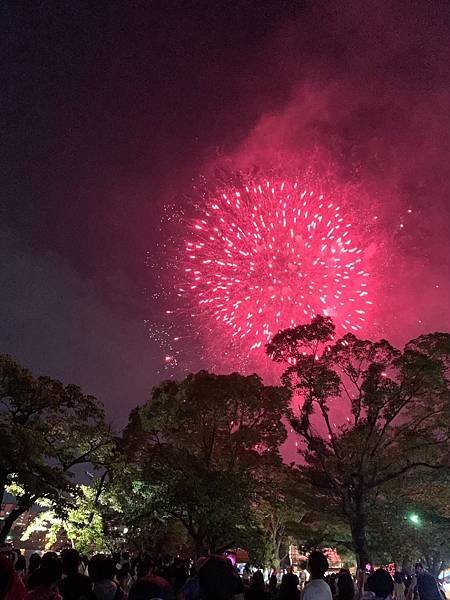 20190724甲子園+0725天神祭_200511_0027.jpg