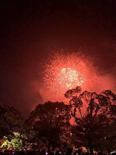 20190724甲子園+0725天神祭_200511_0023.jpg