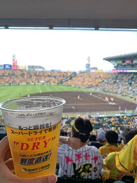 20190724甲子園+0725天神祭_200511_0017.jpg