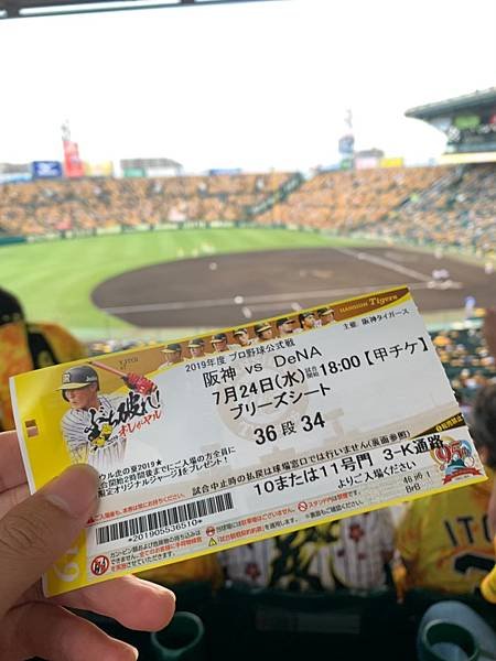 20190724甲子園+0725天神祭_200511_0018.jpg