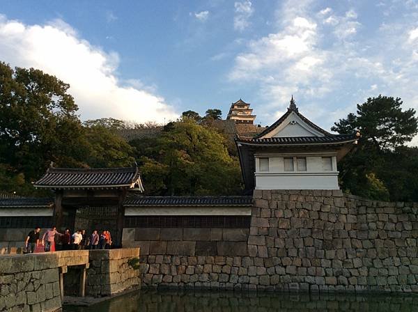 鶴242.jpg