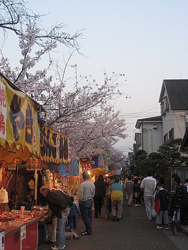 日本大阪賞櫻什麼時候來好呢? 