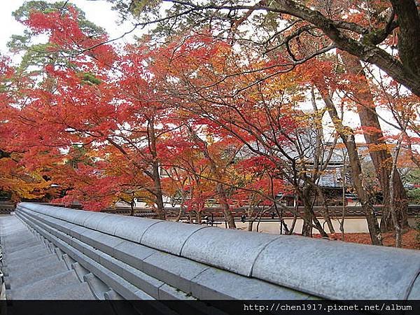 東福寺~広隆寺~南禪寺~永觀堂＜10＞ 