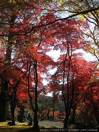 洞光寺~~円通寺~~竹田城跡~~養父神社&lt;3&gt;