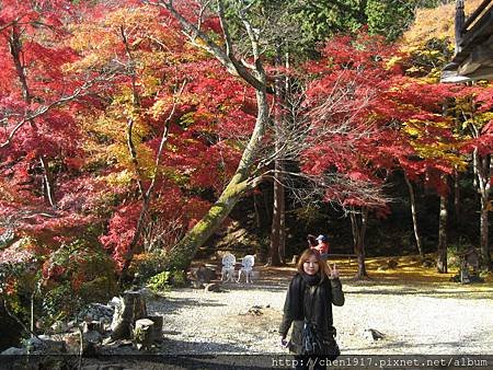 洞光寺~~円通寺~~竹田城跡~~養父神社&lt;3&gt;