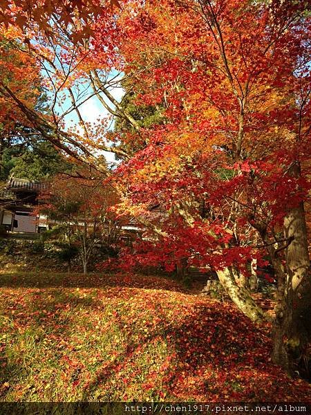 &lt;西光寺&gt;&lt;龍穩寺&gt;&lt;&lt;龍潭寺&gt;&lt;出雲大神宮&gt;&lt;鍬山神社&gt;