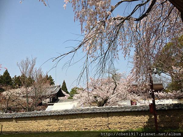 京都醍醐寺&lt;3&gt;