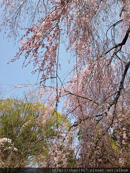 京都醍醐寺&lt;4&gt;