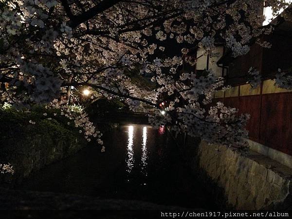 ＜鴨川御薗橋＞&lt;下鴨神社&gt;＜白川通祇園夜櫻＞3