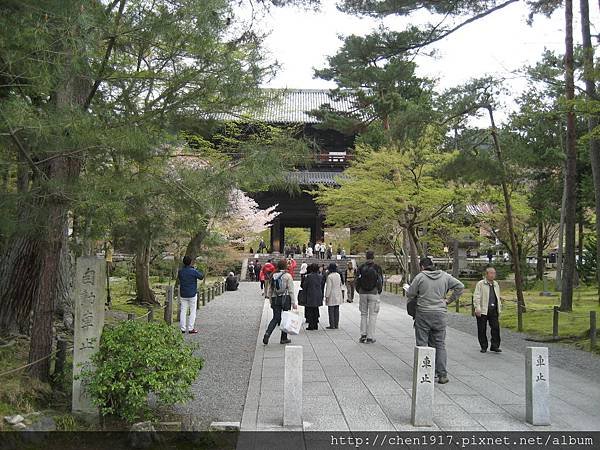 醍醐寺.哲學の道.京都府立植物園.半木の道.平野神社.嵐電.嵐山.花見舟&lt;2&gt;