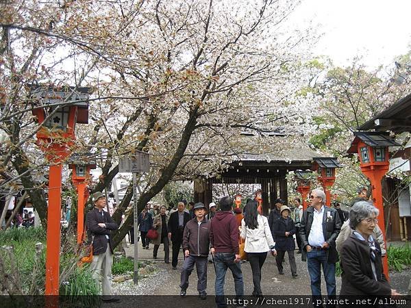 京都東西南北八個賞櫻景點&lt;4&gt;