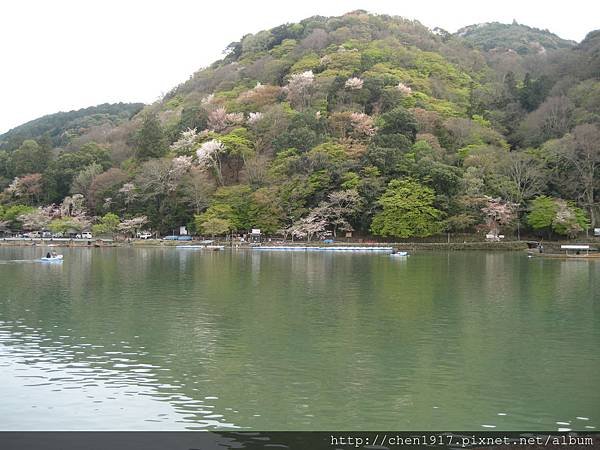 京都東西南北八個賞櫻景點&lt;5&gt;