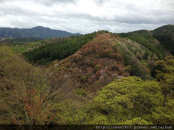 奈良縣吉野山