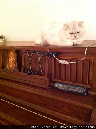 IMG_1775.JPG