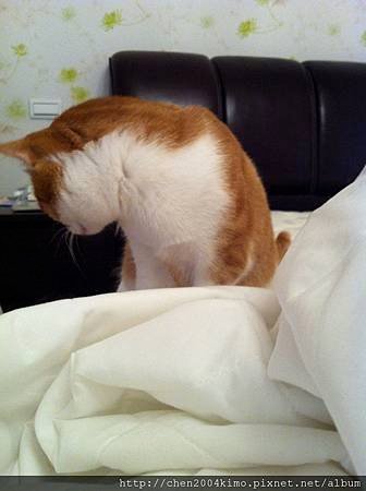 IMG_2878.JPG