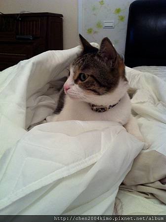 IMG_2874.JPG