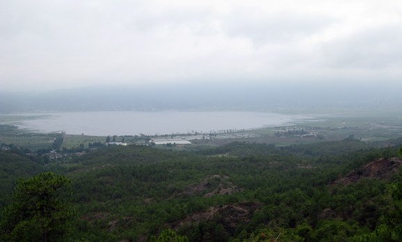 IMG_0111.jpg